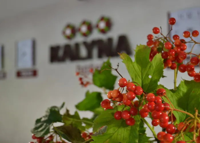 Готель Kalyna Харків